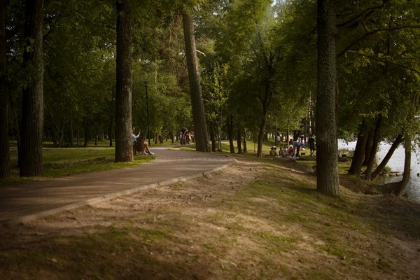 Guide complet pour faire ses courses en régime Paléo