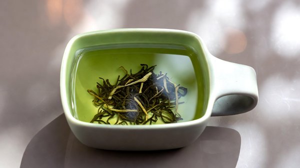 Thé blanc vert noir oolong : comprendre les différences